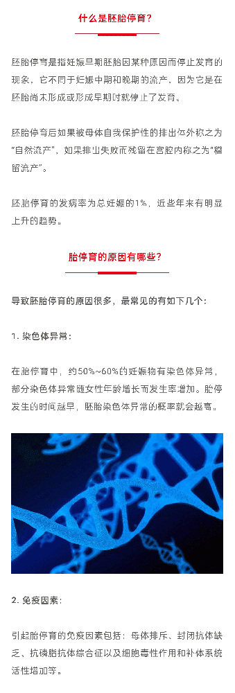什么是胚胎停育