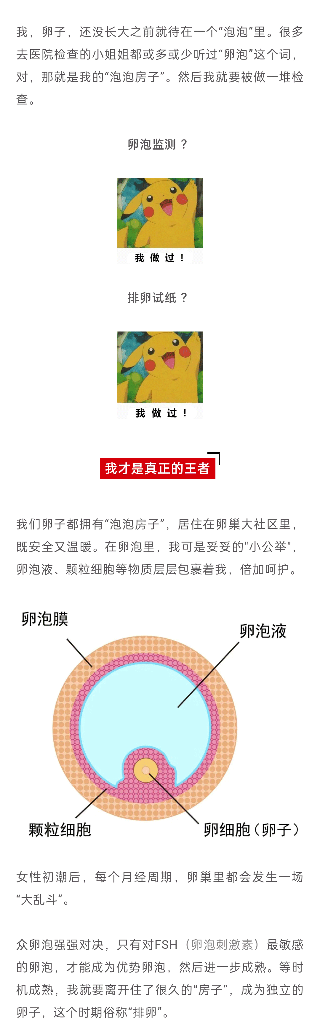 6a5323e578a8f2f0362af2fffc34efe_01.gif